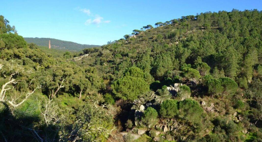 Serra D'Ossa