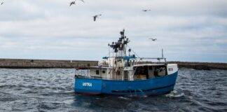 Barco de Pesca