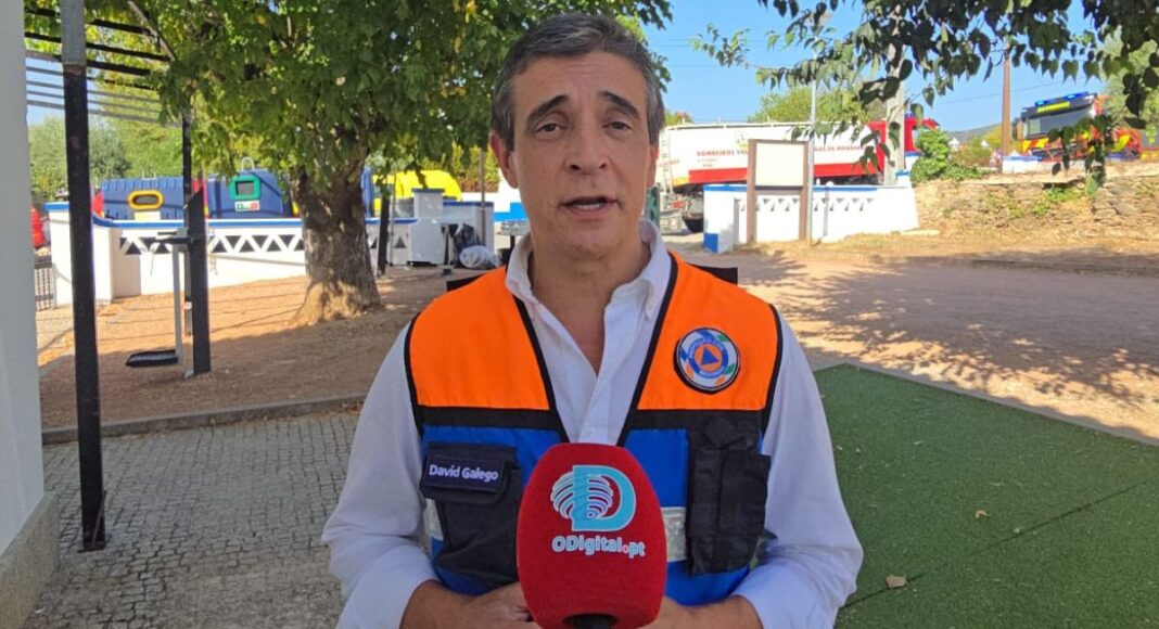 David galego
